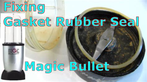 Magic bullet gsket replacement